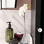 Elegant In The Quiet Center *
