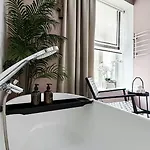 Elegant In The Quiet Center *