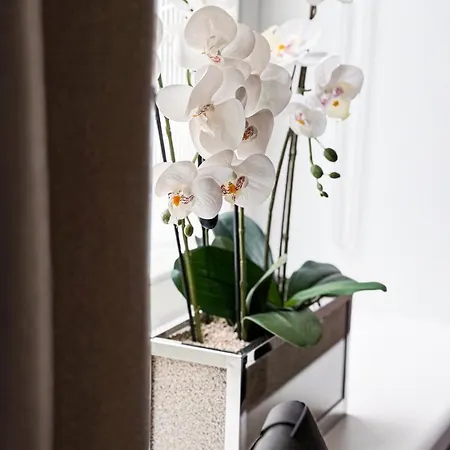 Elegant In The Quiet Center Apartment