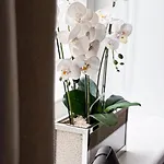 Elegant In The Quiet Center Апартаменти